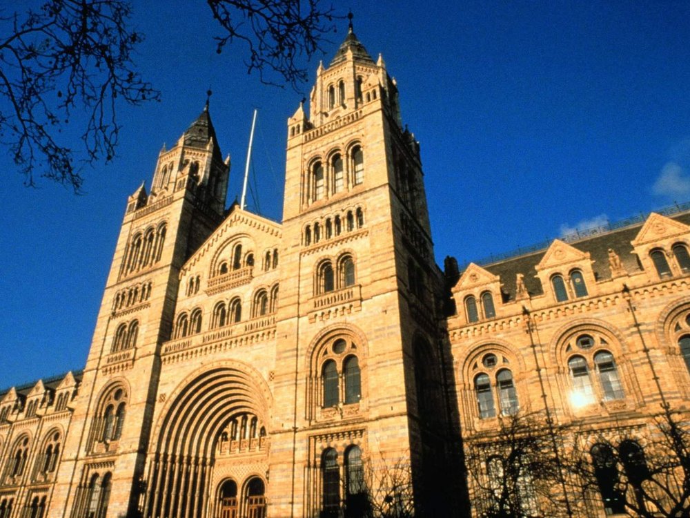 Natural History Museum