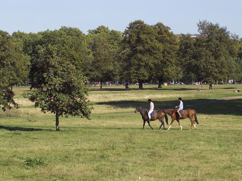 The Royal Parks