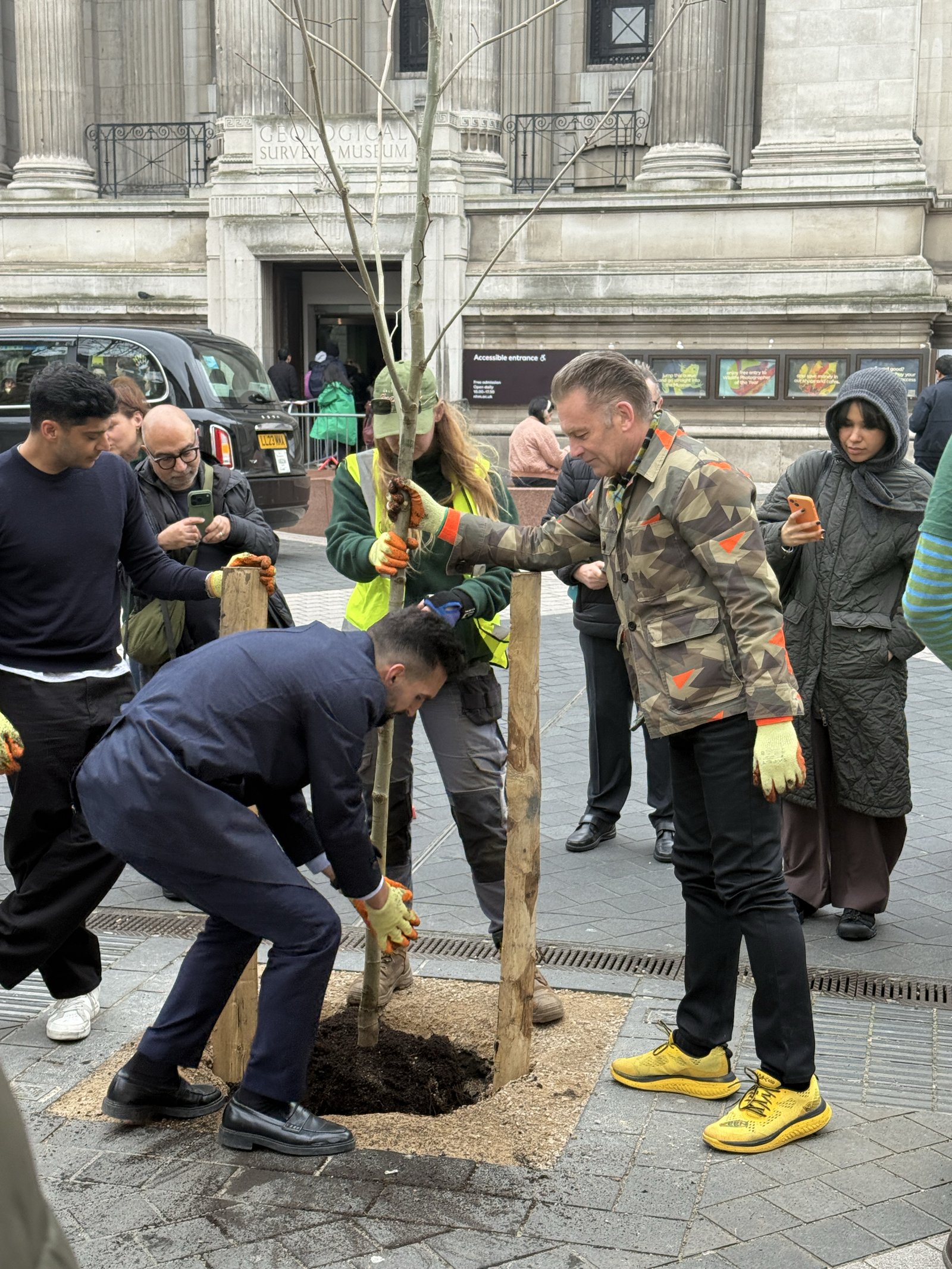 Tree Planting on Exhibition Road Volunteers, including Chris Packham, planting a young tree in a paved public square, with people wearing gardening gloves gathered around the planting site.