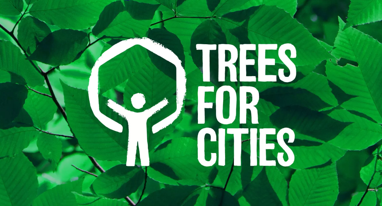 Trees for cities Trees for cities logo that depicts human in a white circle with his hands raised