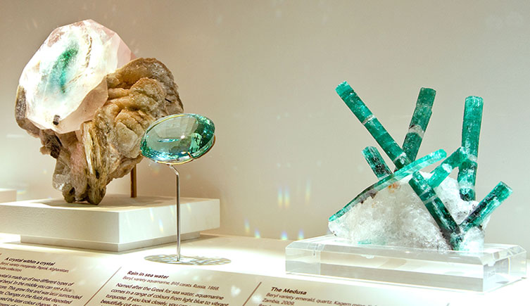 The Vault, NHM